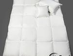 Posciel antyalergiczna AllerGuard amimex 4